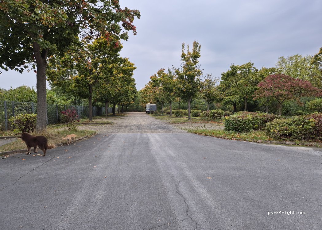 (34253) Lohfelden - 11 Waldauer Weg — foto 5