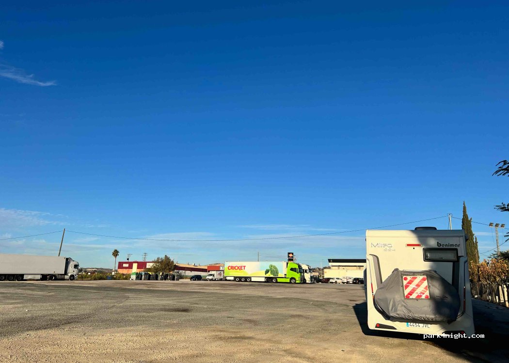 (30834) Murcia - 24 Diseminado Puntarron — foto 3