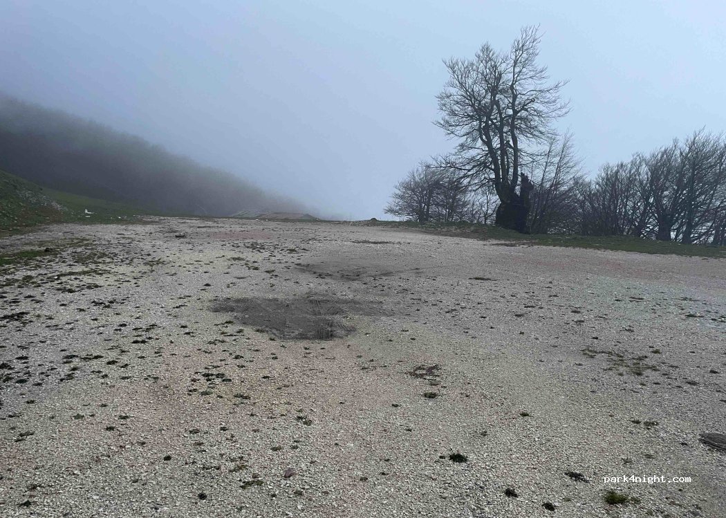 (61046) Piobbico - Strada Monte Nerone — foto 2