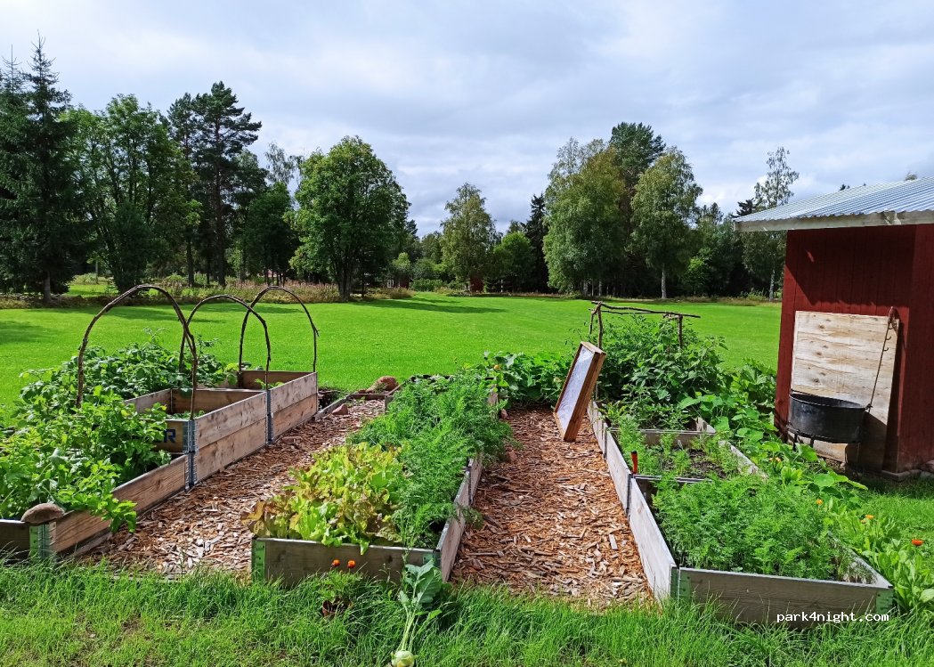 (792 75) Fåsås - Fåsås — foto 3