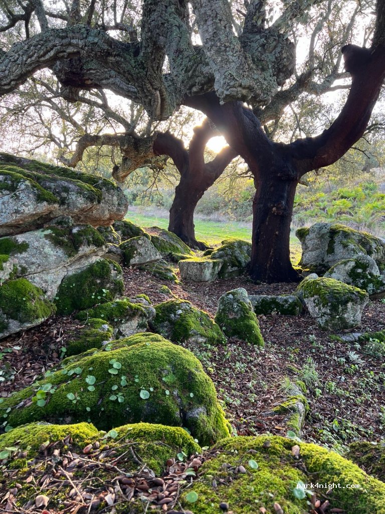 Een verborgen paradijsje  — foto 5