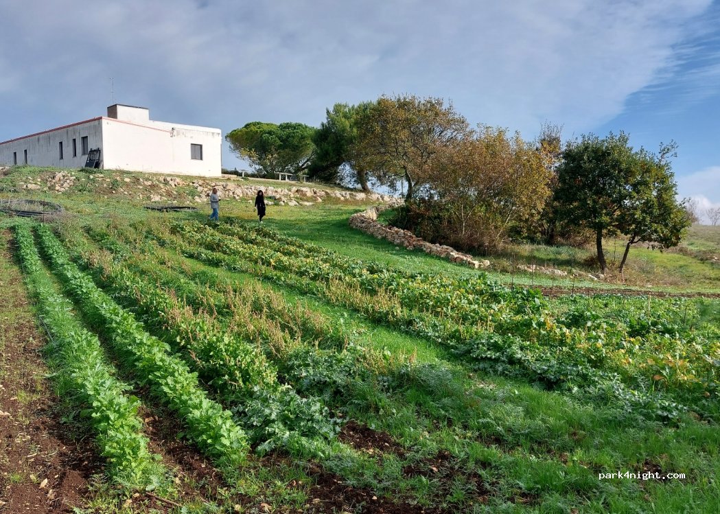 Tenuta del Grillaio — foto