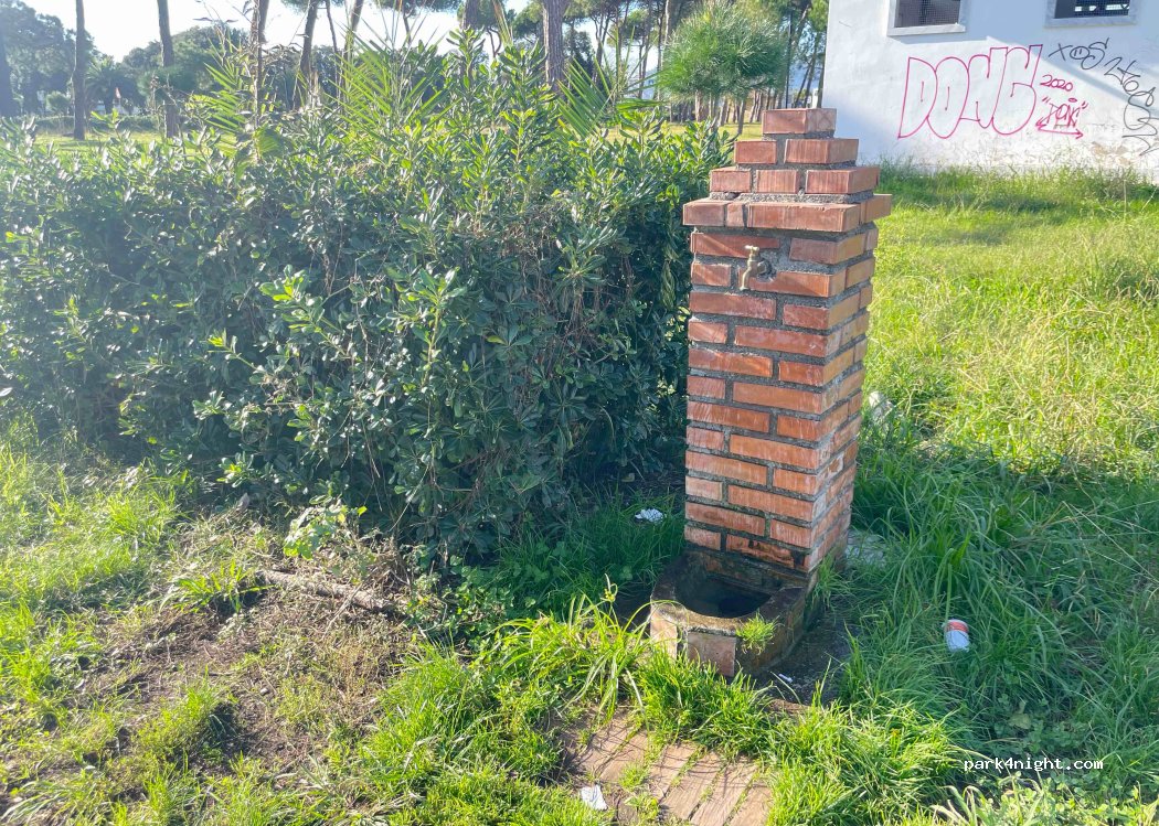 (54033) Marina di Carrara - Via Oriana Fallaci — foto