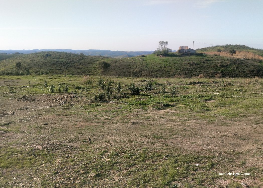 (7665) Azinheira - — foto