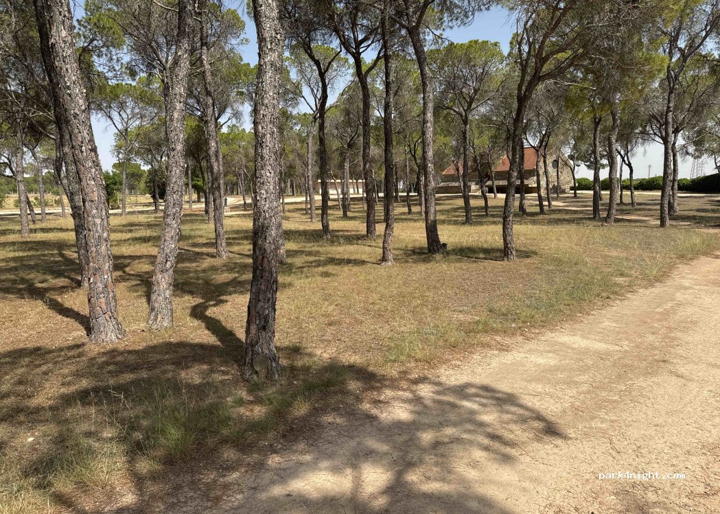 () Albacete - CM-3203 — foto 2