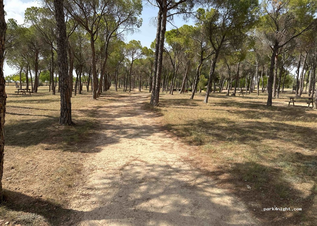 () Albacete - CM-3203 — foto 3