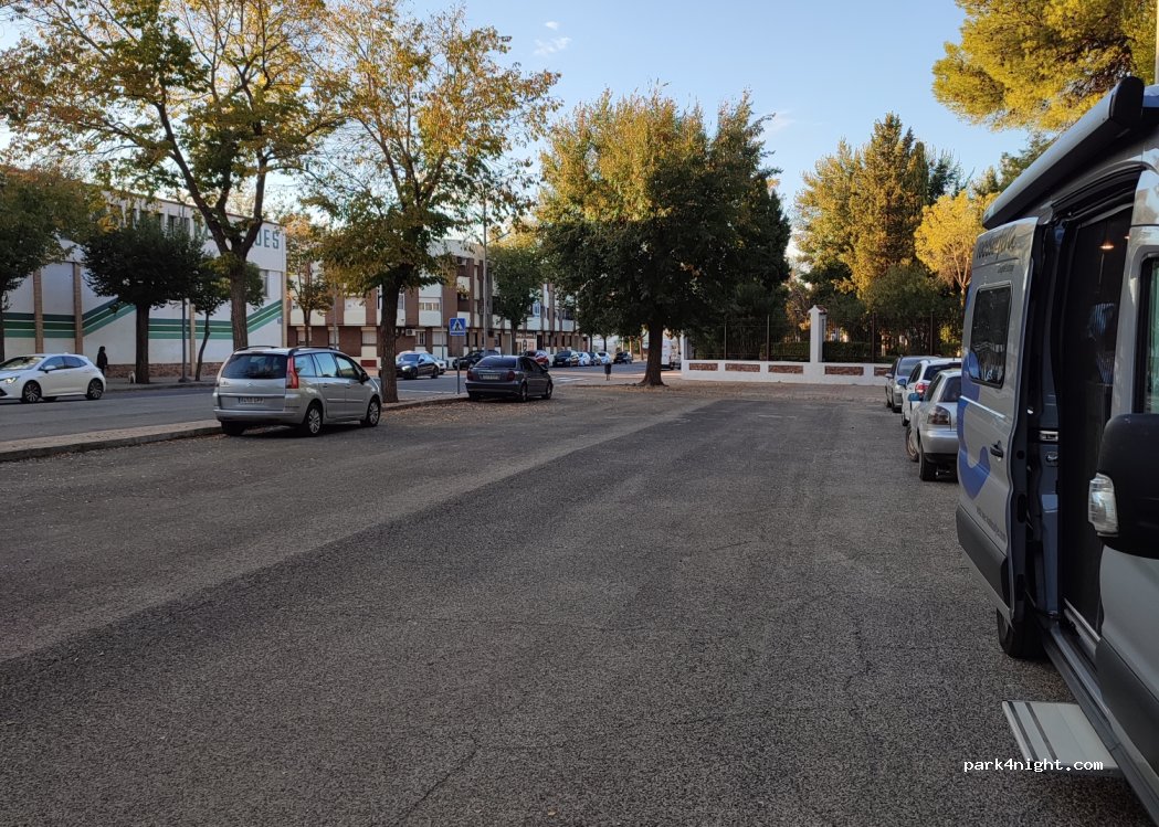(13200) Manzanares - 29 Avenida Don Emiliano García Roldán — foto 2