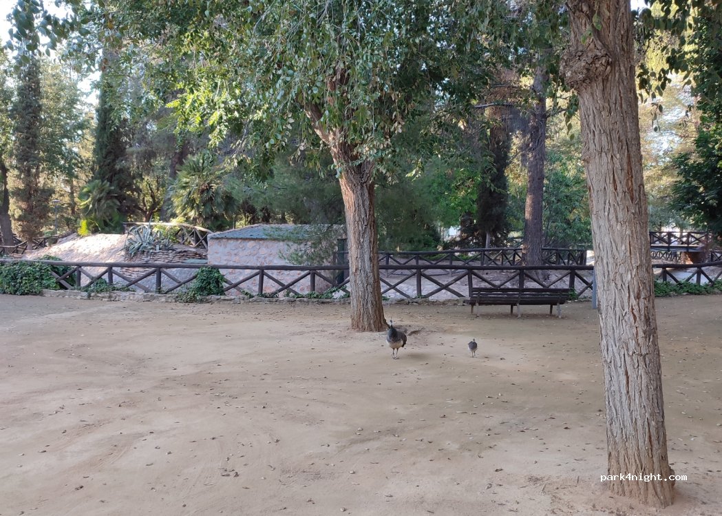 (13200) Manzanares - 29 Avenida Don Emiliano García Roldán — foto 3