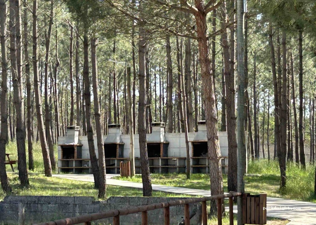 Área de Serviço de Autocaravanas da Calvaria de Cima — foto 5
