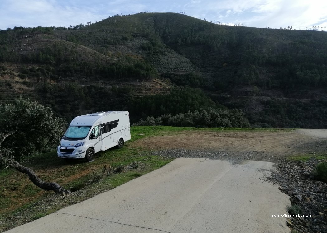 (10638) Pinofranqueado - 5 Diseminado — foto