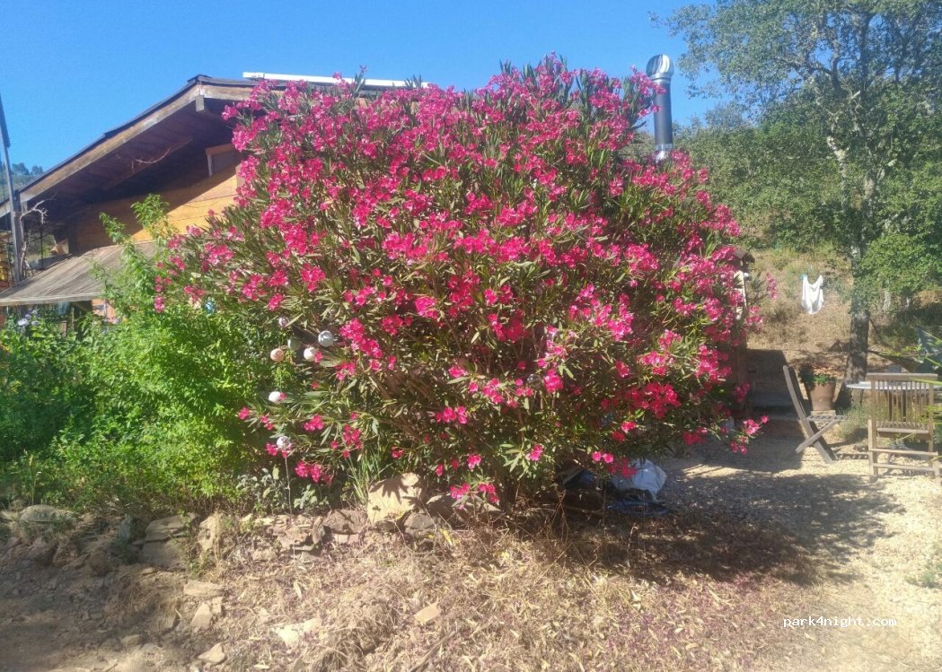 Monte das Laranjeiras — foto 3
