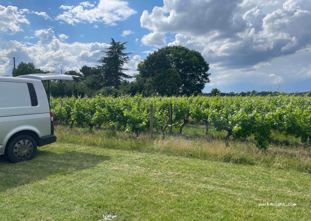 Château Le Maine Perin — foto 4