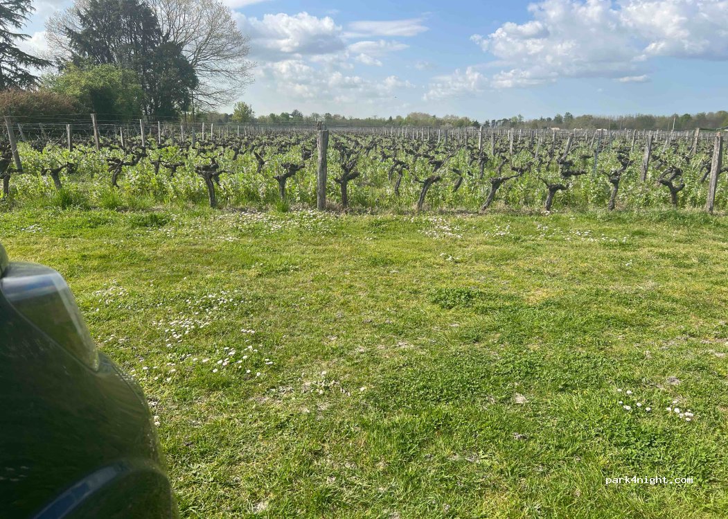 Château Le Maine Perin — foto 5