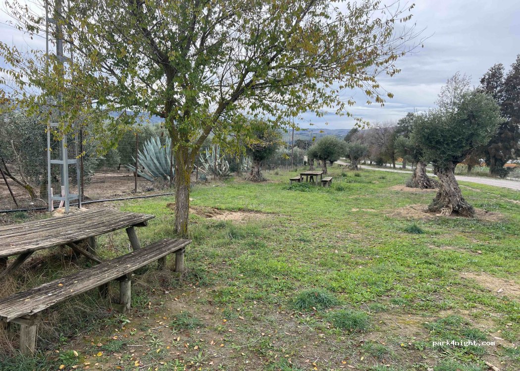(11692) Casas Nuevas - CA-422 — foto