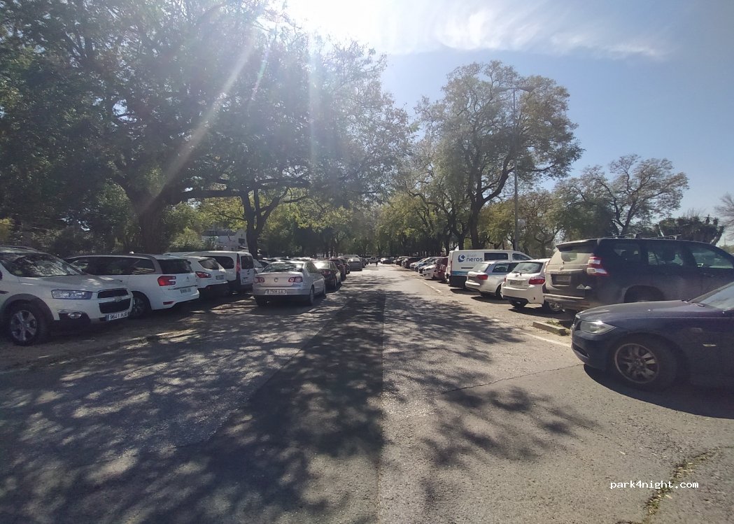 (41011) Sevilla - Avenida Alfredo Kraus — foto