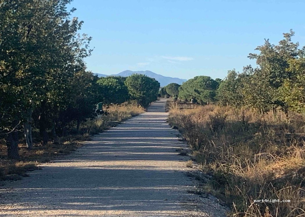 (66280) Saleilles - Unnamed Road — foto