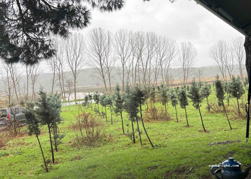 (34540) Ormanlı - — foto