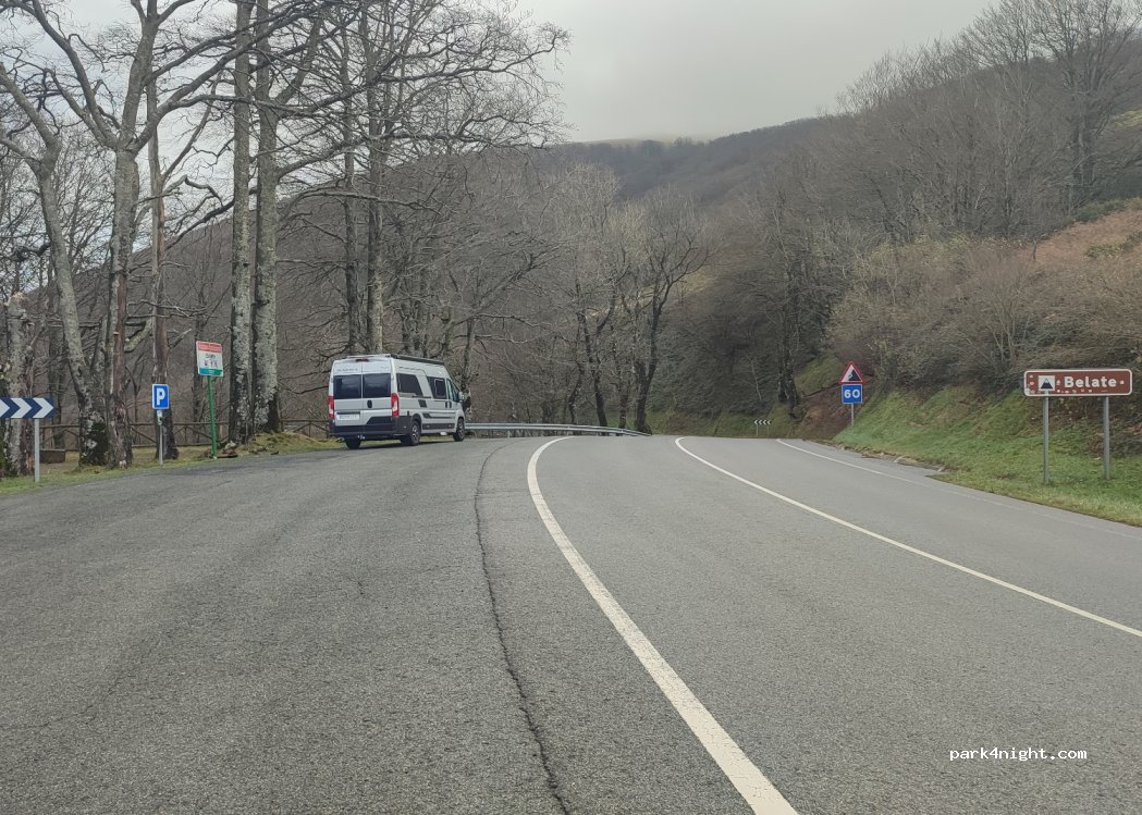 (31796) Almandoz - Carretera de Belate — foto