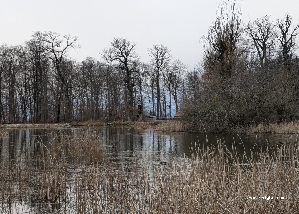 (1018) Lausanne - 1 Chemin des Celtes — foto 2