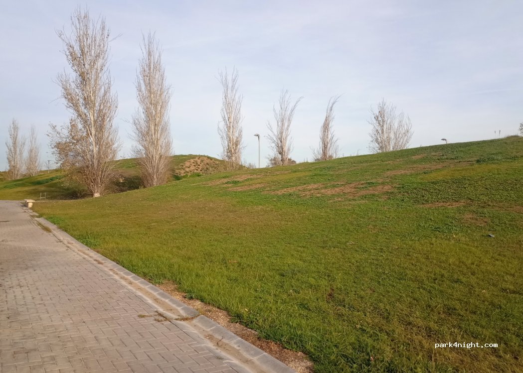 (41012) Seville - Av. de Palmas Altas — foto