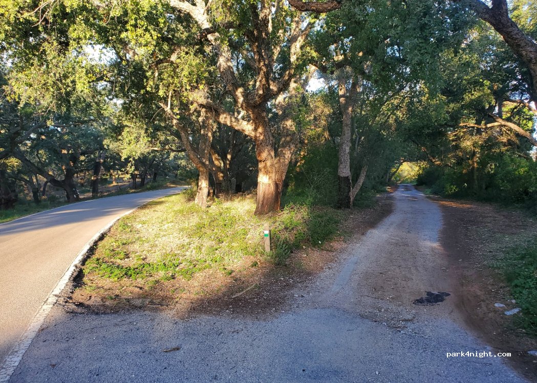 (11350) Castellar de la Frontera - CA-P-5131 — foto