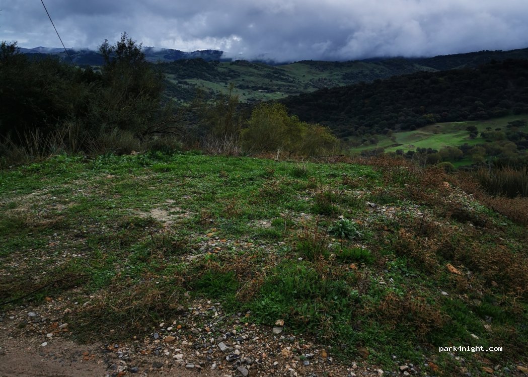 (11610) Gaidovar - — foto