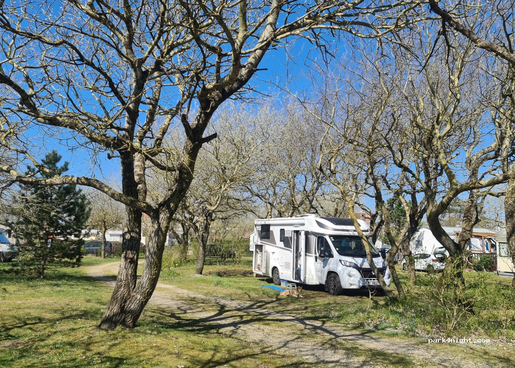 Camping du Halloy — foto 5