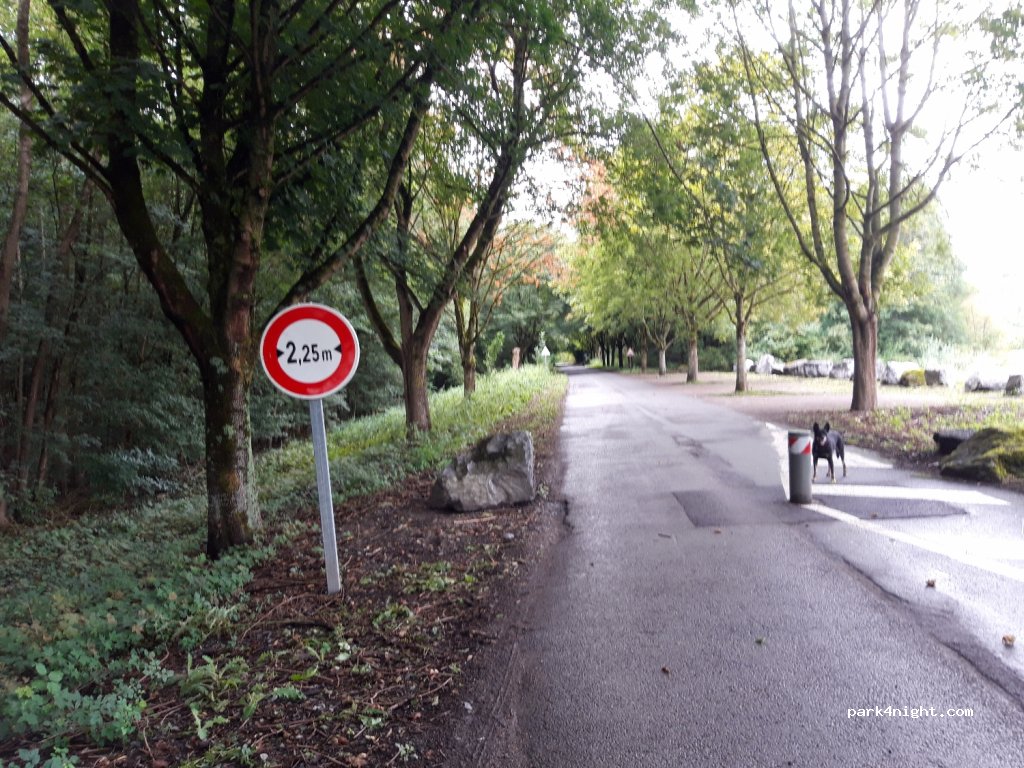 (59163) Condé-sur-l'Escaut - Drève Félix Szpruta — foto 3