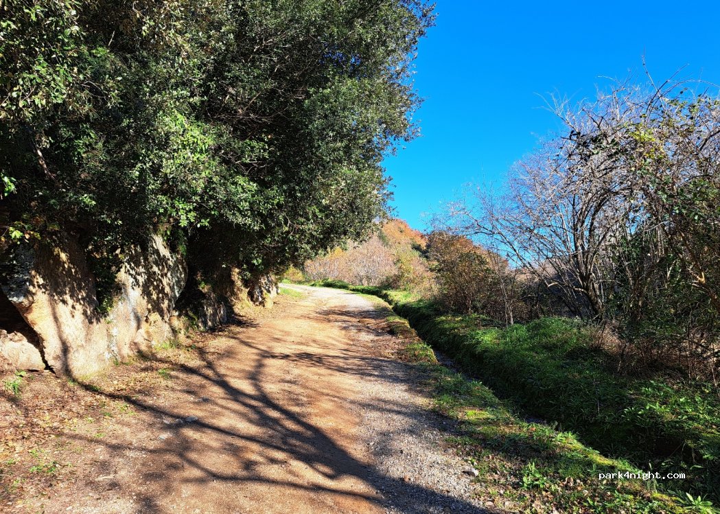 (58010) Sorano - — foto