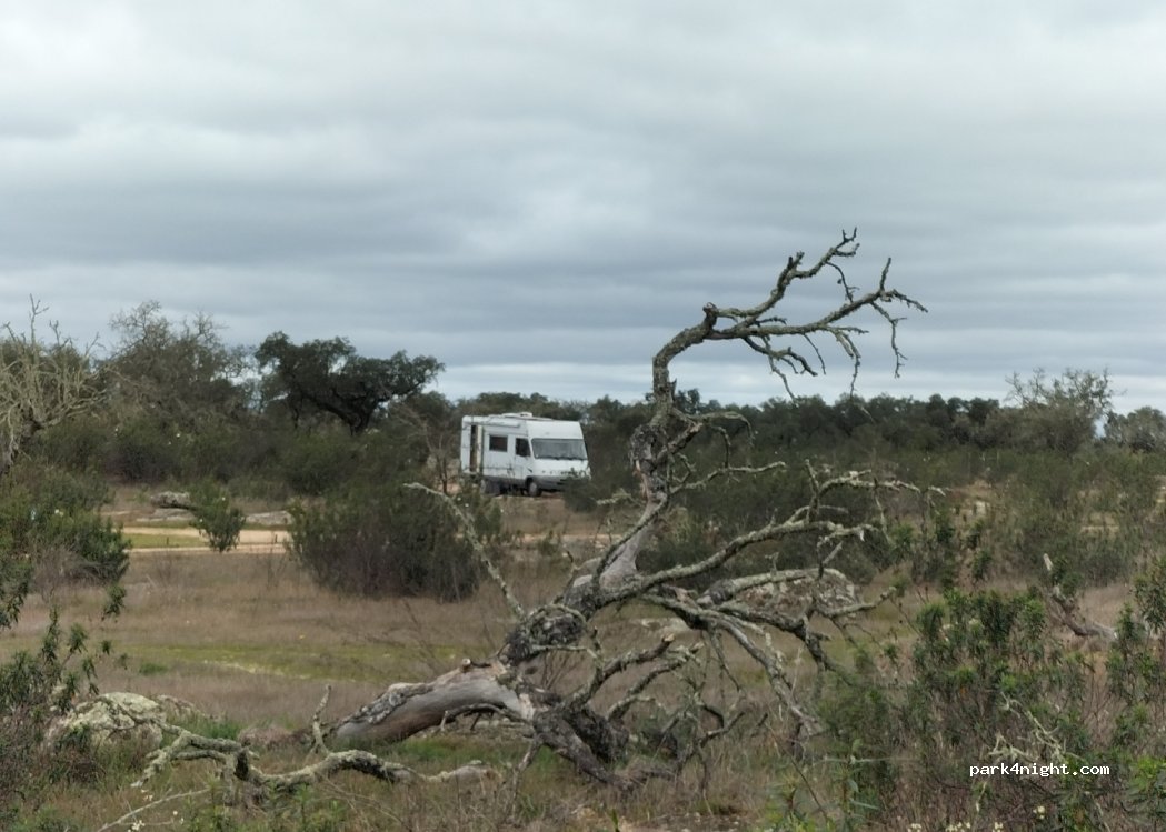 Camping Bubulcus & Bolotas — foto 2