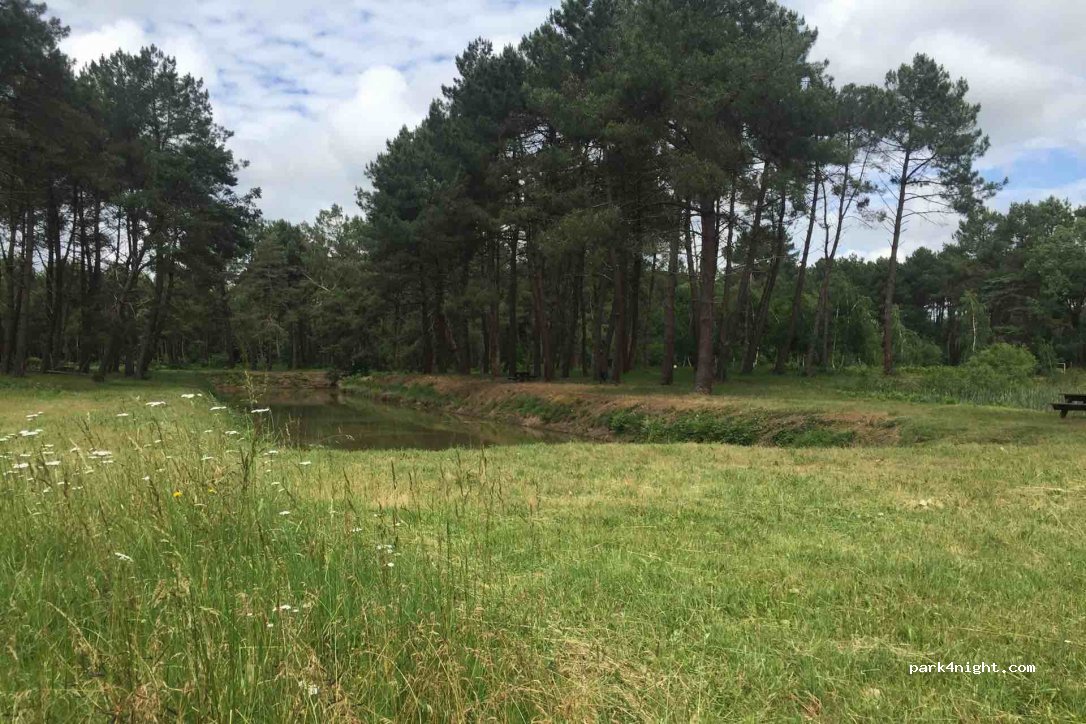 (49490) La Pellerine - 3 Route de Parçay — foto 2