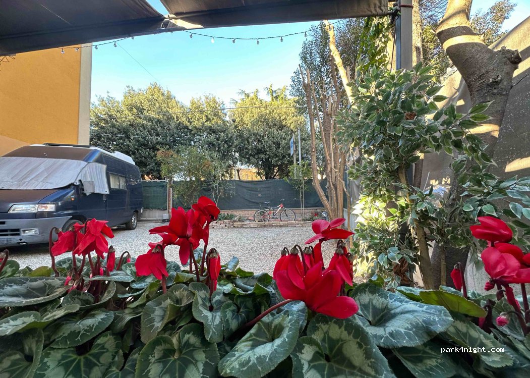 Piccolo giardino privato vicino al centro storico — foto 4