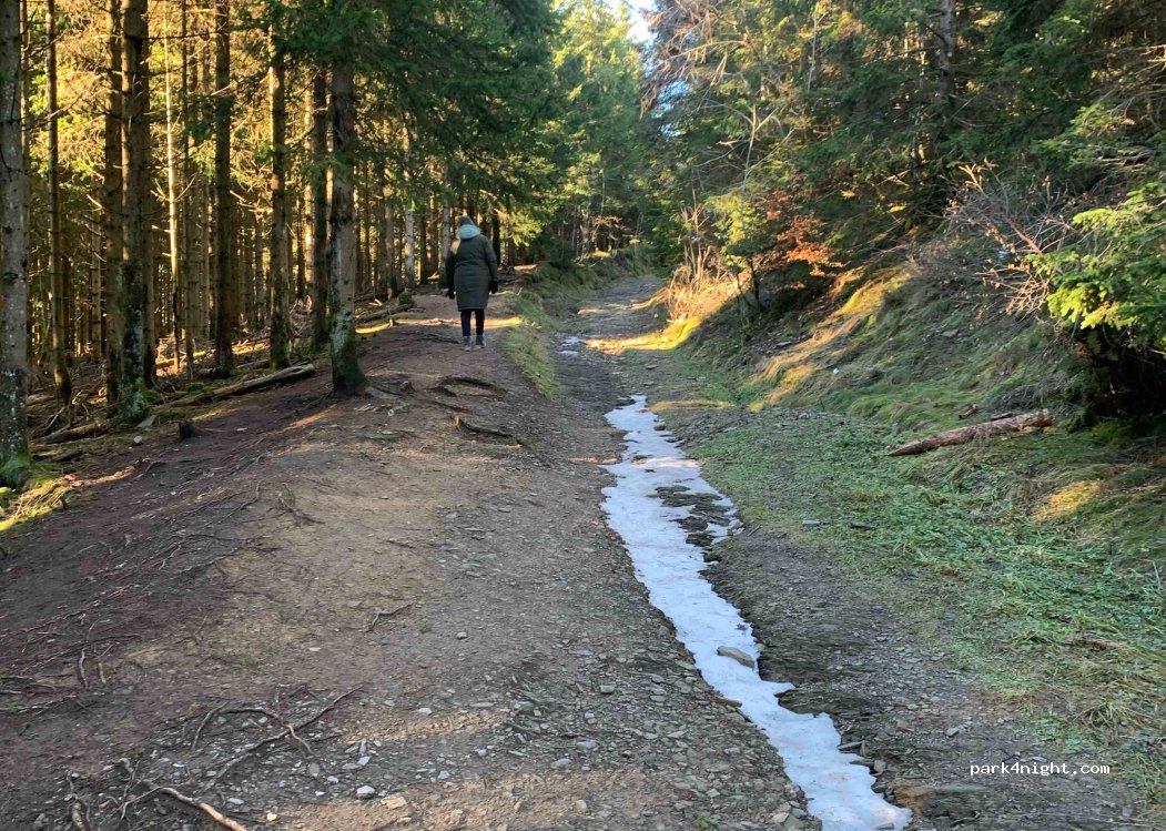 (59955) Winterberg - Rothaarsteig — foto 2