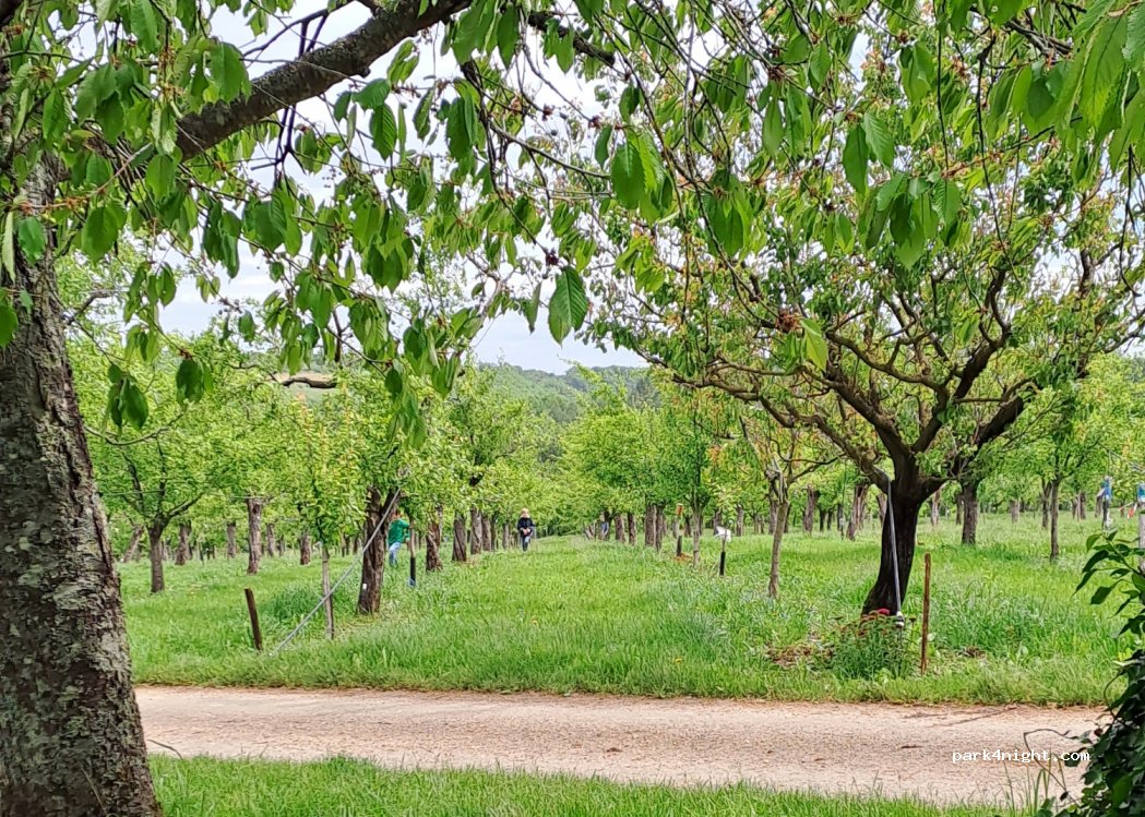 Ferme de Lagrèse — foto 2
