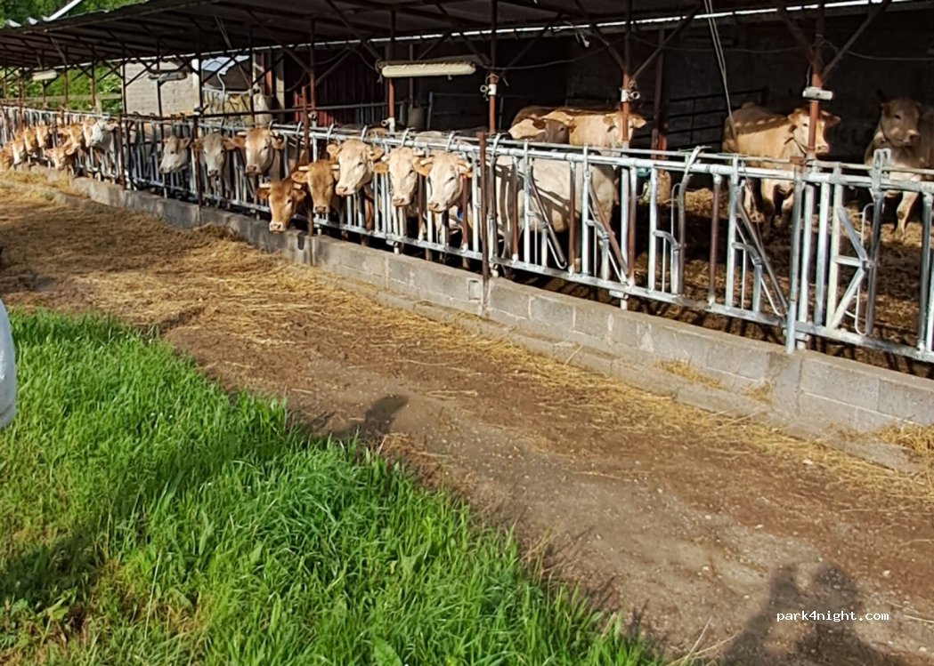 Ferme de Lagrèse — foto 3