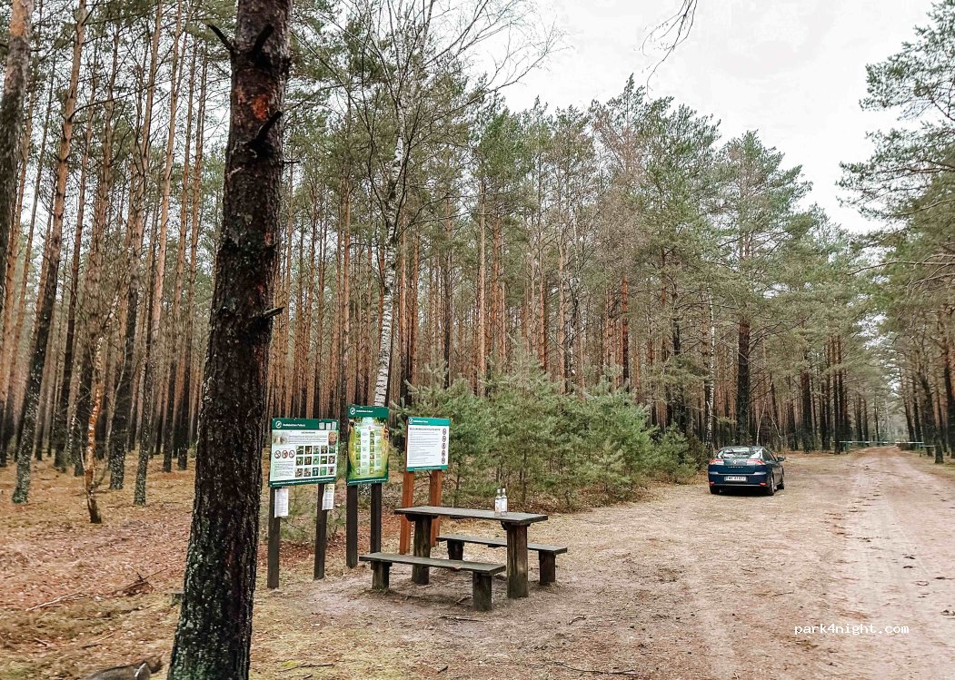 (05) Popowo-Letnisko - Unnamed Road — foto 2