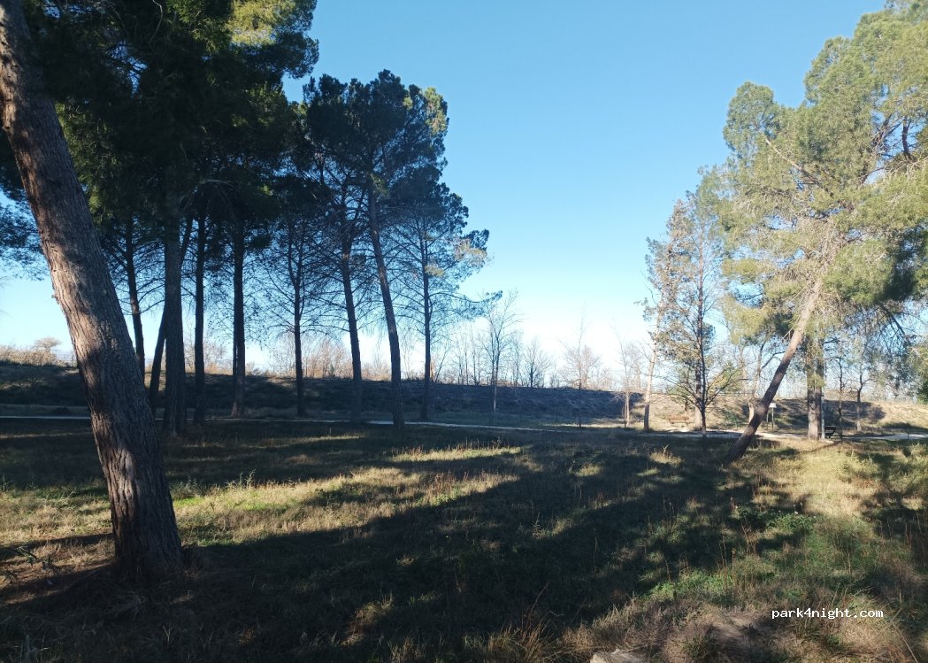(50750) Pina de Ebro - 11 Avenida Zaragoza — foto 2