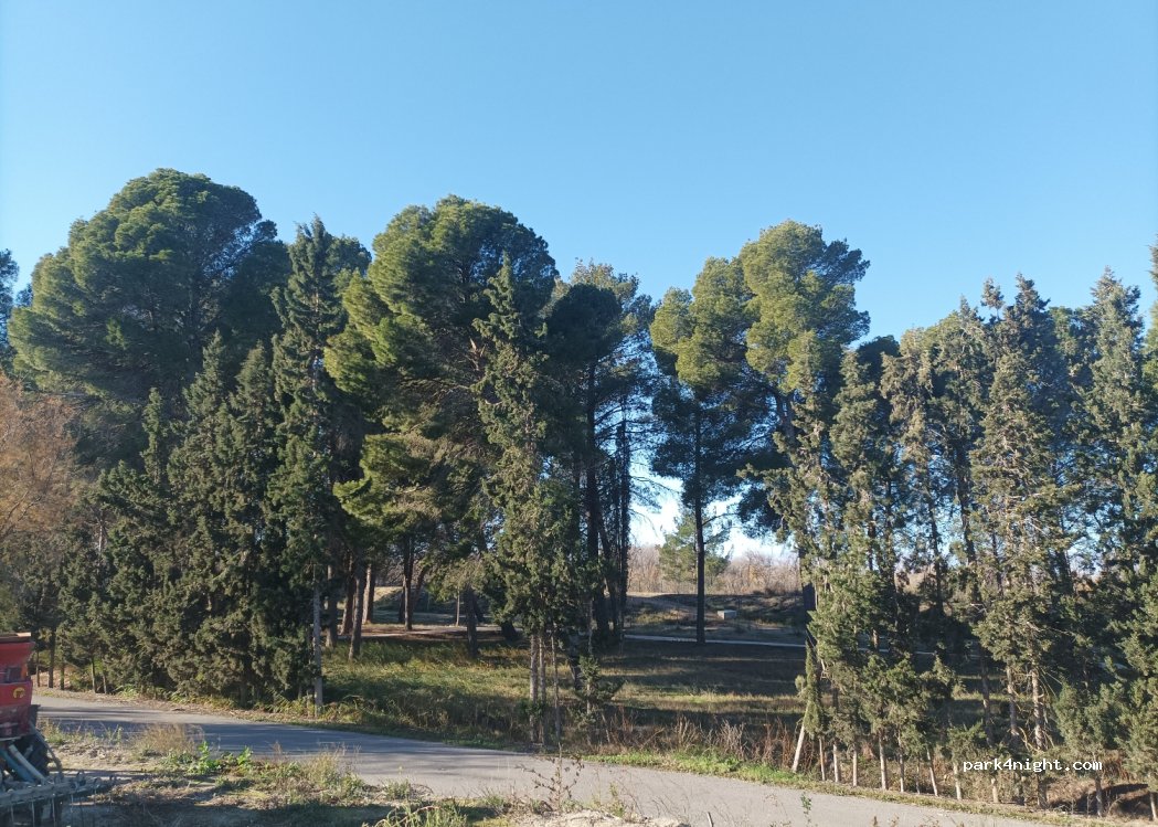 (50750) Pina de Ebro - 11 Avenida Zaragoza — foto 3