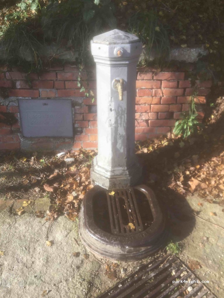 (53045) Montepulciano - Viale delle Grazie — foto