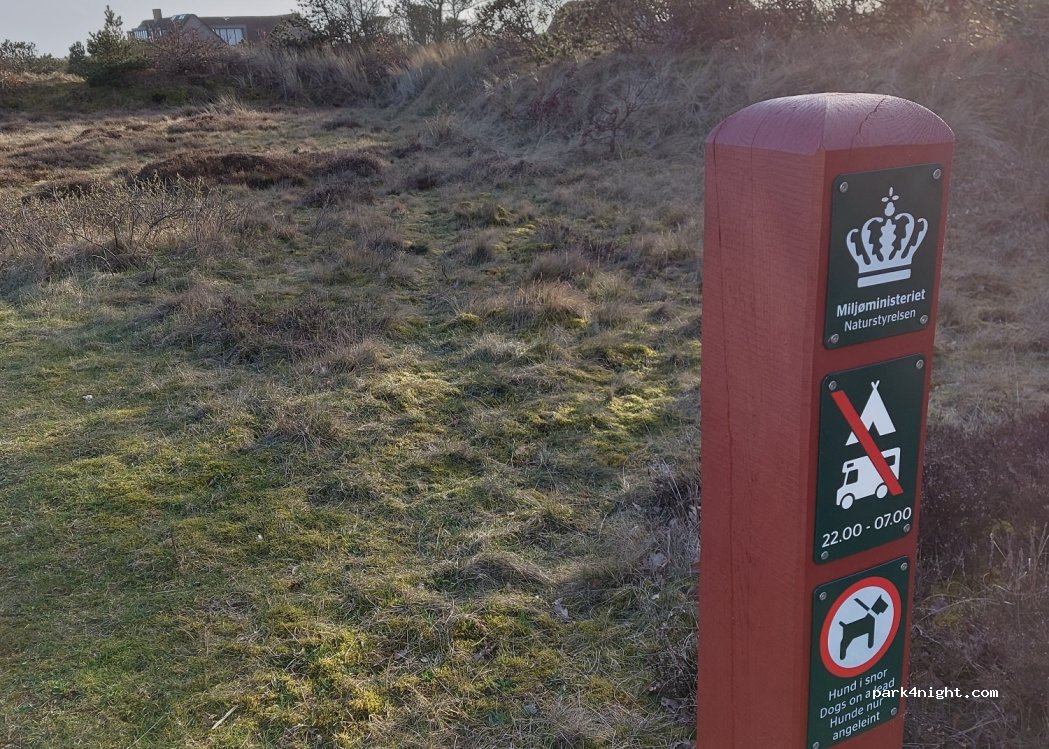 (6857) Blåvand - 6 Blåvand Strand — foto 4