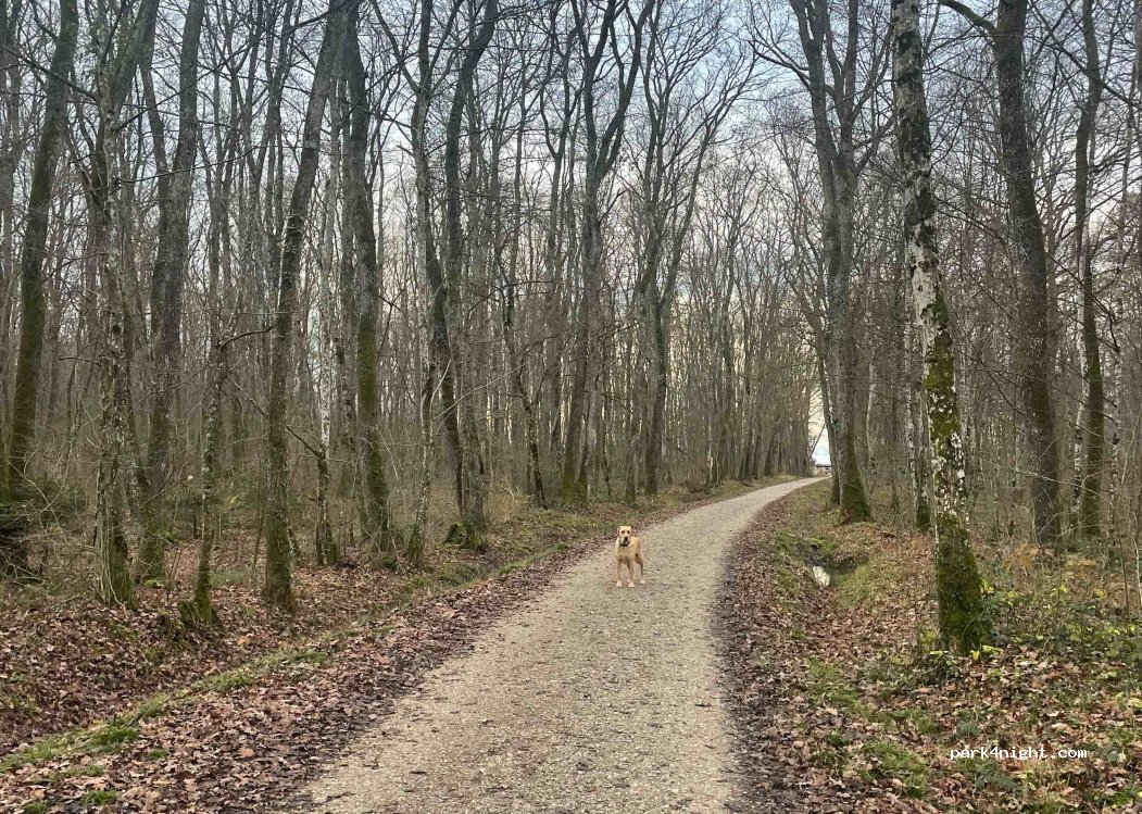 (1254) Jussy - Chemin de la Poudriere — foto 2