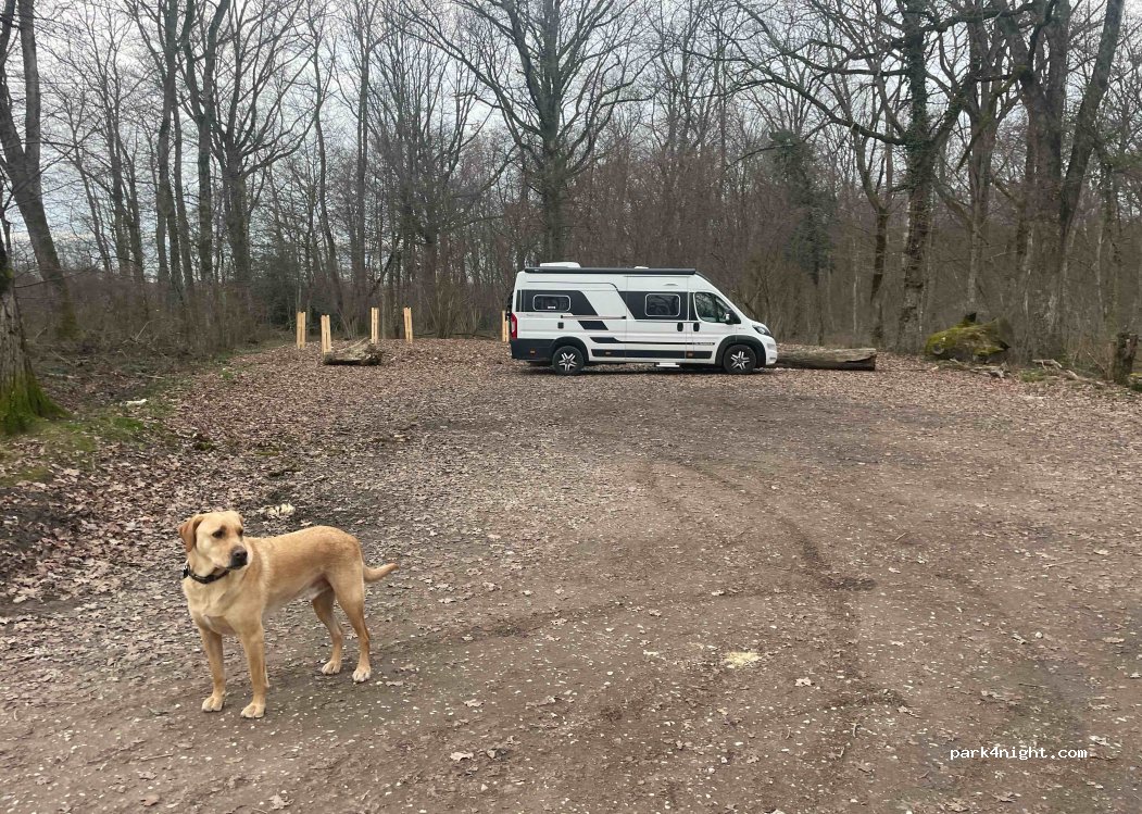 (1254) Jussy - Chemin de la Poudriere — foto 3