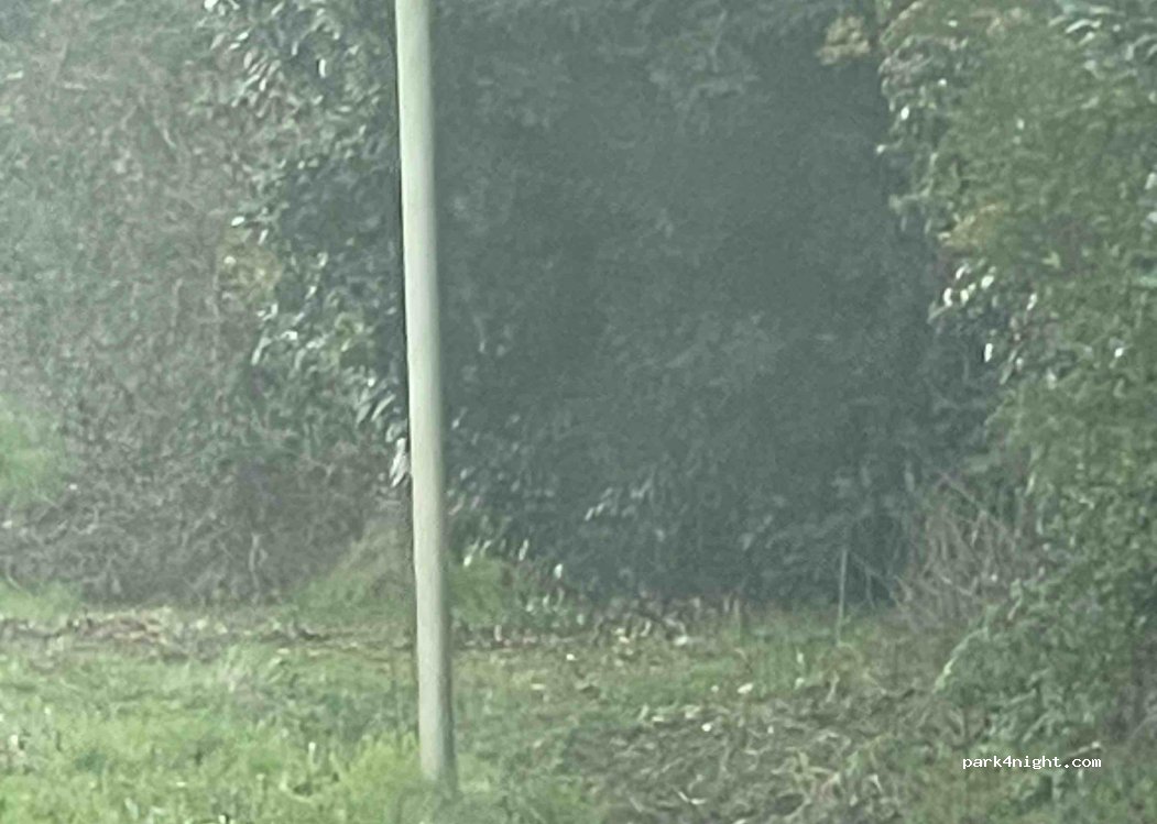 (53200) Fromentières - N162 — foto