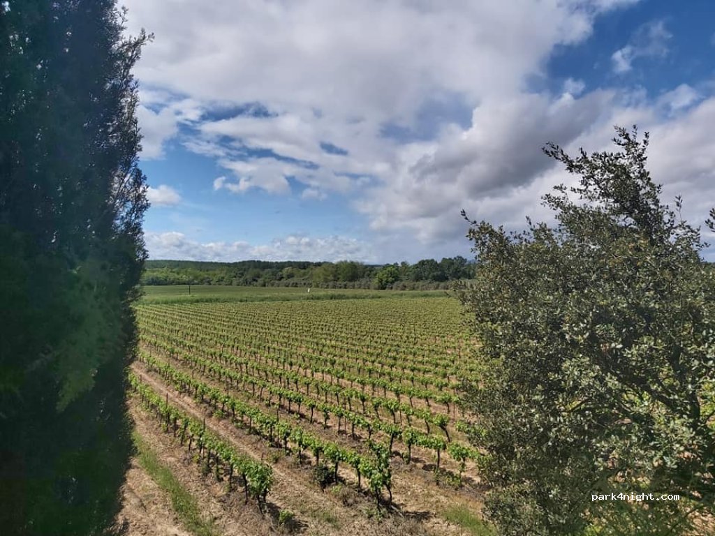 Domaine de la Conseillère — foto 5