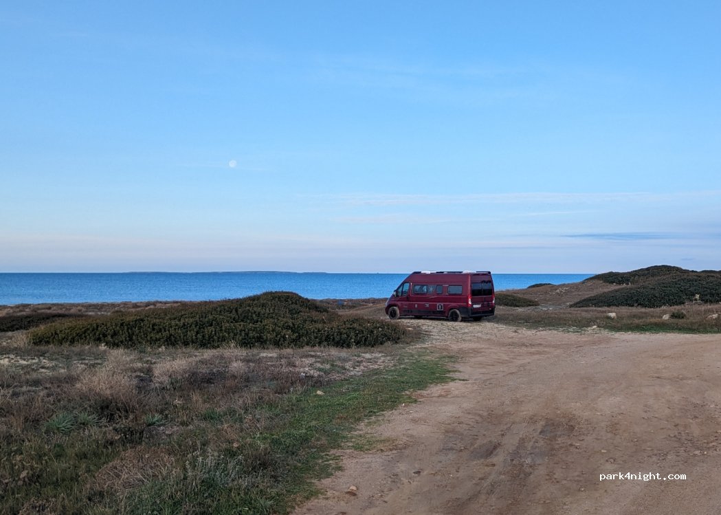 (09072) Cabras - — foto