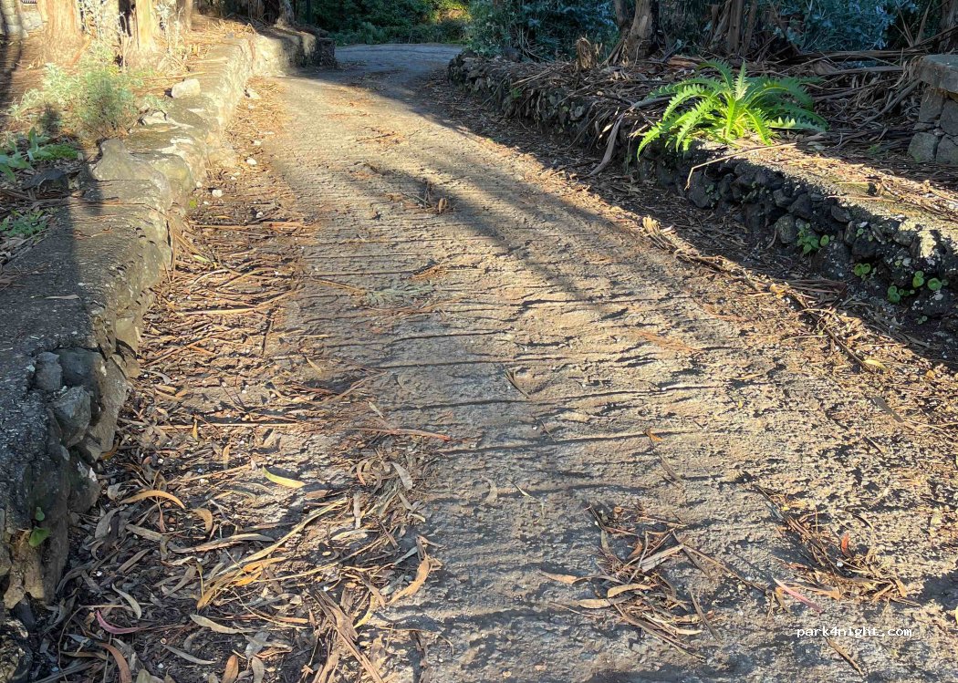 (35421) Moya - 2 Camino el Valle — foto
