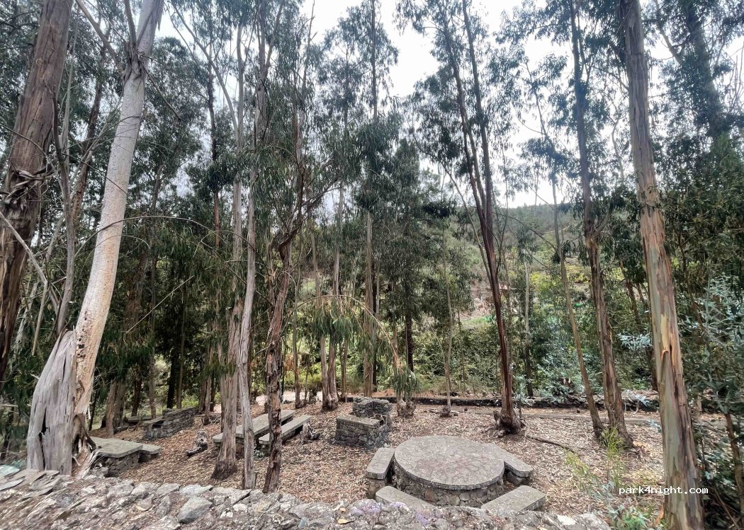 (35421) Moya - 2 Camino el Valle — foto 4