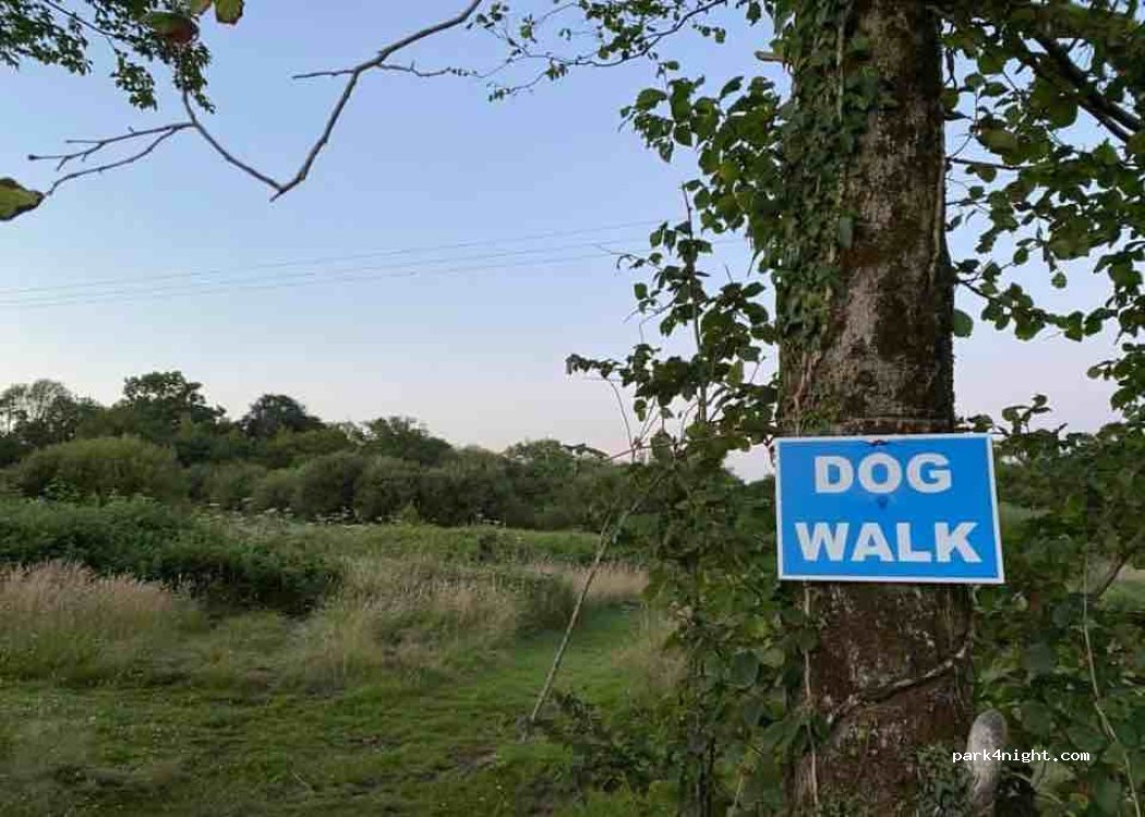 Brynhyfryd Campsite — foto 3
