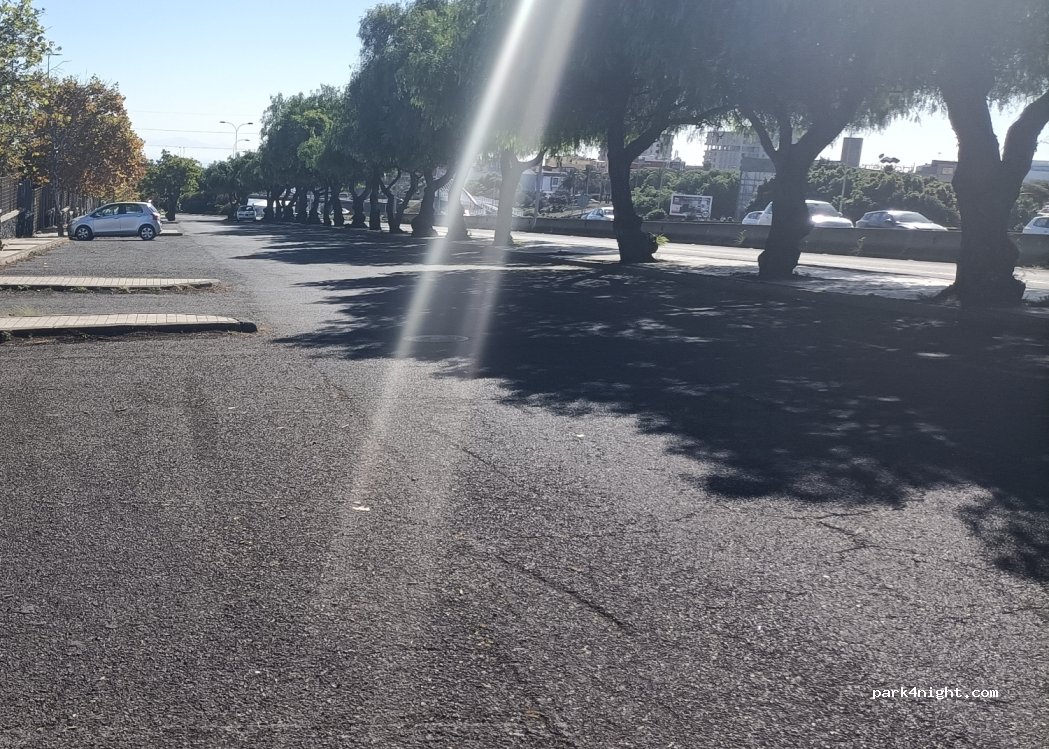 (38320) La Laguna - Camino la Hornera — foto 2
