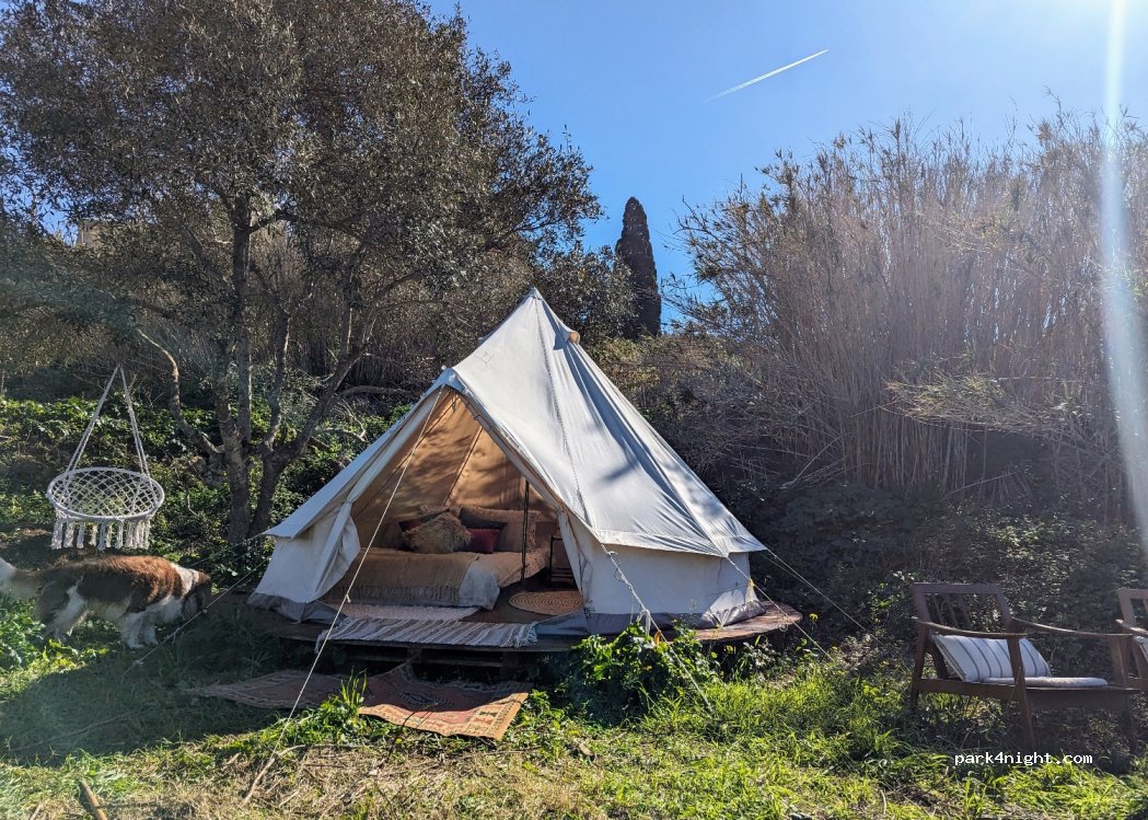 Thrive Education and Wellness Farm — foto